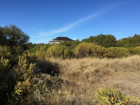 Pad 01 view N back to house.JPG